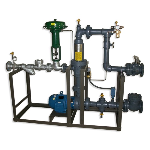 WhatsApp Image 2026-01-17 at 16.45.19